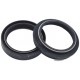 Kit Retentores e Guarda-Pós Forqueta SKF Estrada Suzuki