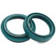 Kit Retentores e Guarda-Pós Forqueta SKF Estrada Cagiva