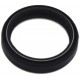 Retentor de Óleo Forqueta SKF Estrada Triumph