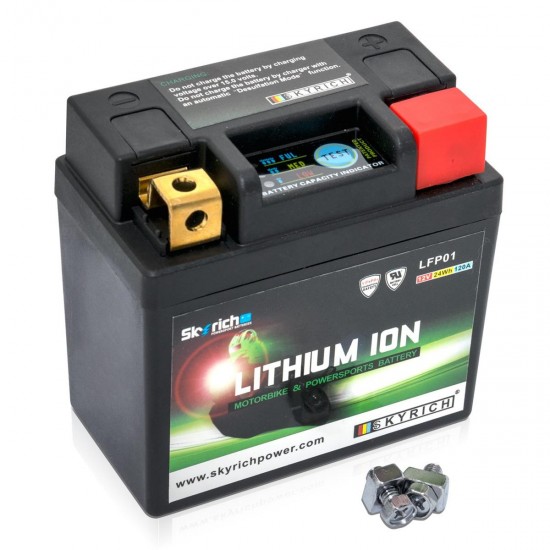 Bateria Lítio Skyrich LFP01 Compatível com LTKTM04L | BSLI-01