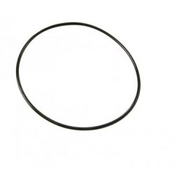 O-Ring / Junta Tórica 44346-45G01 Tampa Filtro Gasolina Suzuki Ltr 450