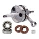 Kit cambota HQ Racing Biela CNC e Rolamentos C4 Voca Derbi Euro 2