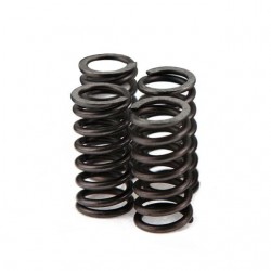 Molas de embraiagem Voca Race-Clutch Minarelli AM6