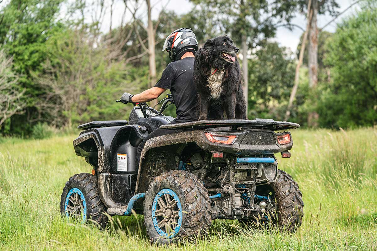 ATV SEGWAY Snarler AT6 SX